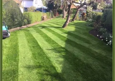 How to apply autumn lawn feed